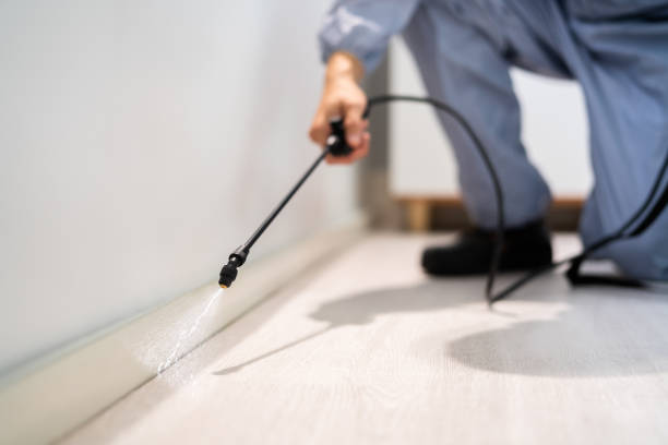Licensed Exterminator service in Richmond, MN - Show Me Pest Control